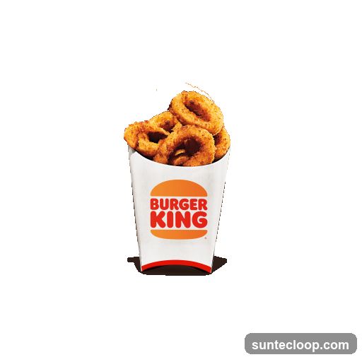 Burger King Onion Rings
