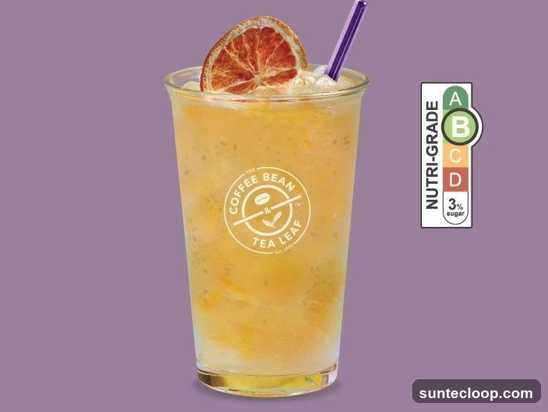 Orange Drink with Dried Orange Slice
