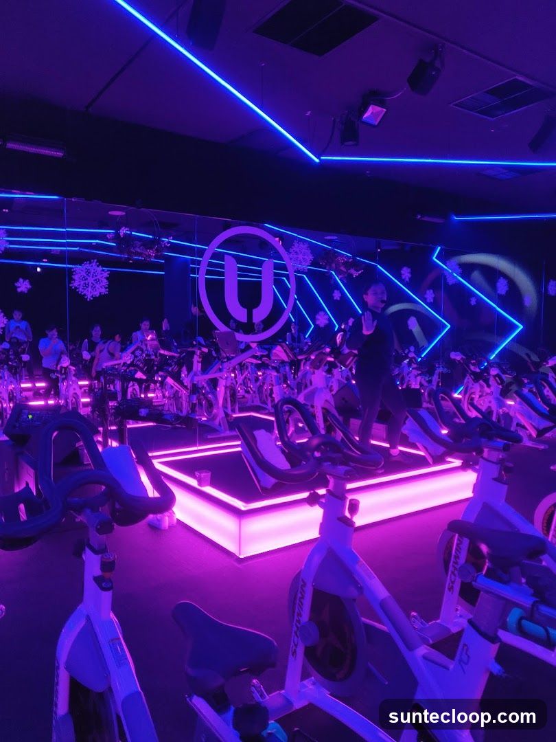 Spin Class