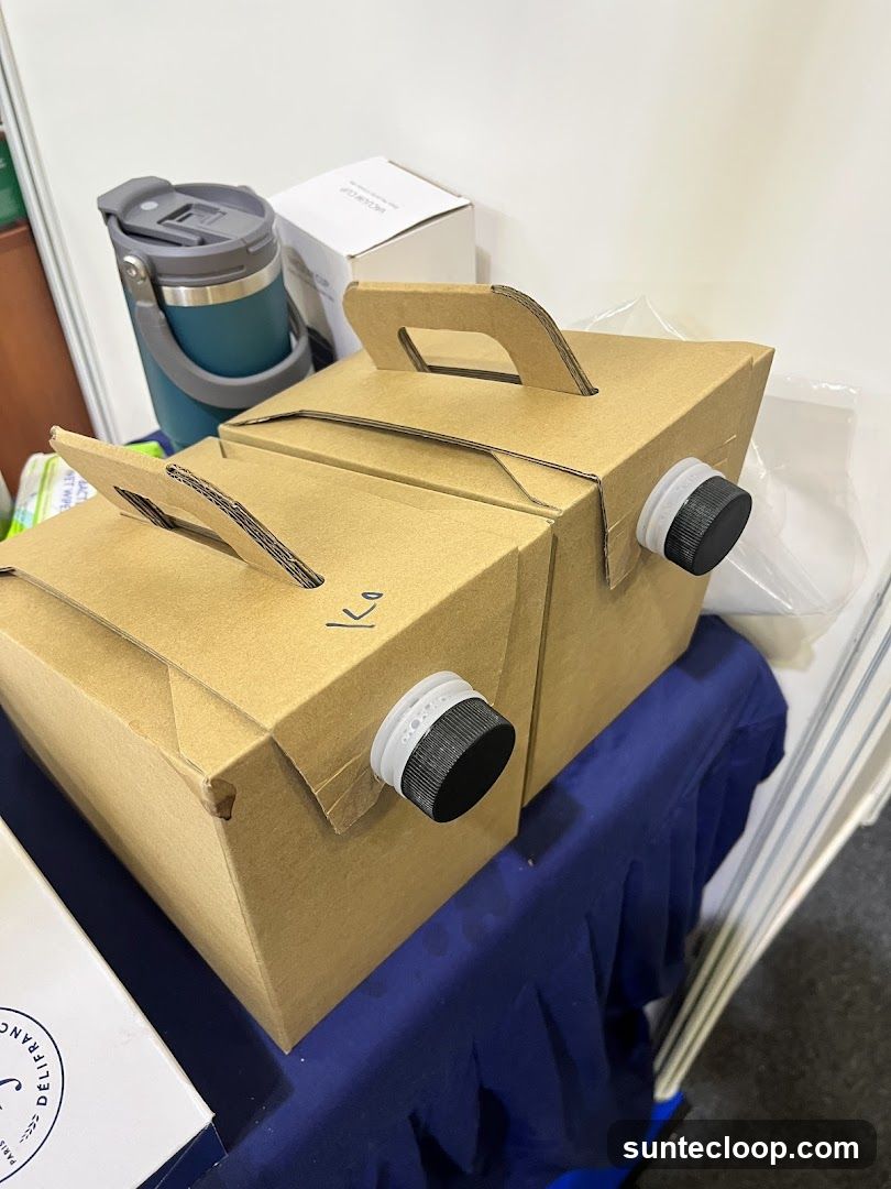 Cardboard beverage containers