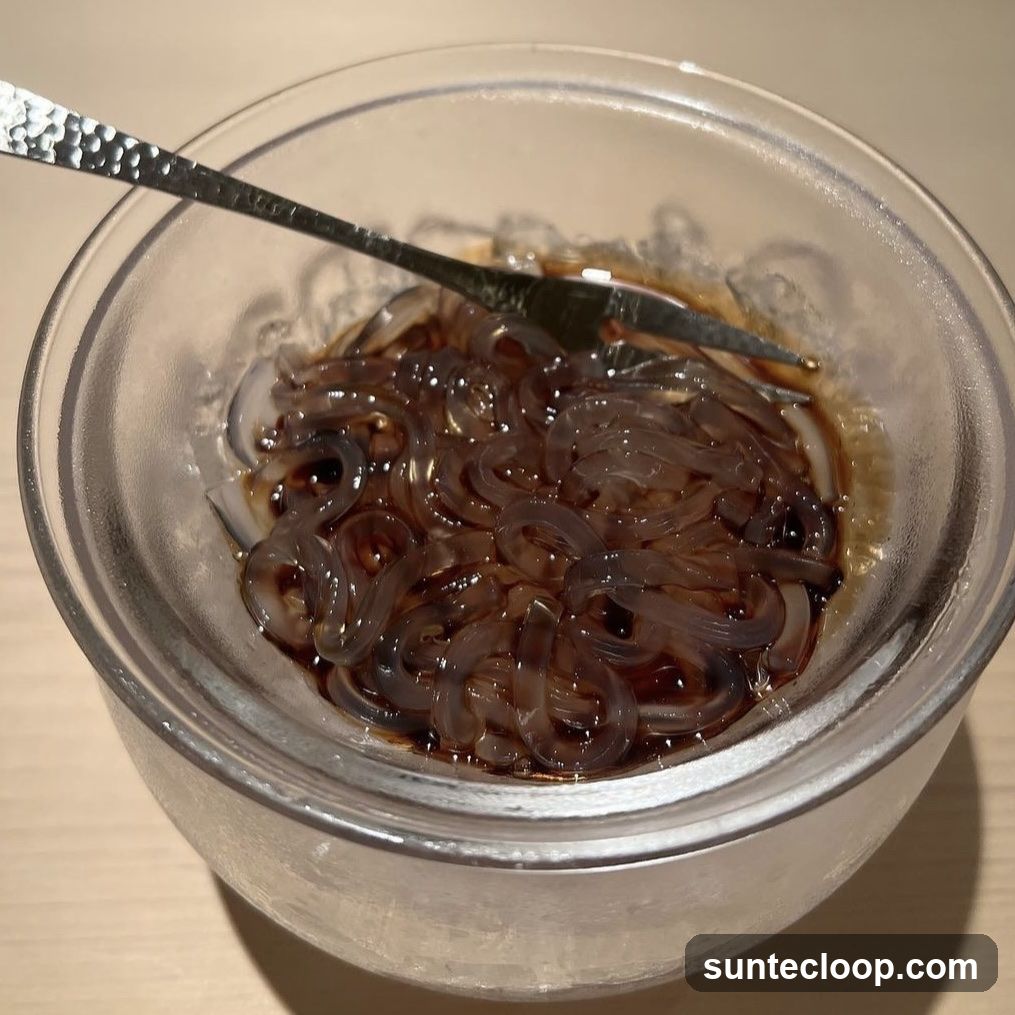 Kanten Noodles in Broth