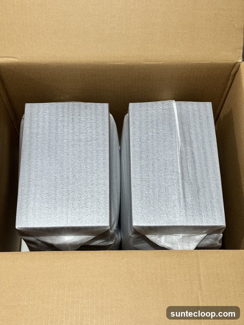 Two speakers in a cardboard box