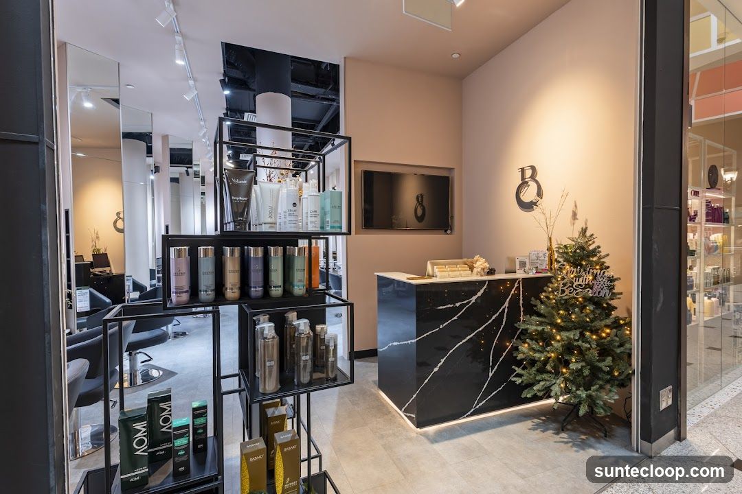 Salon Reception Area with Christmas Tree