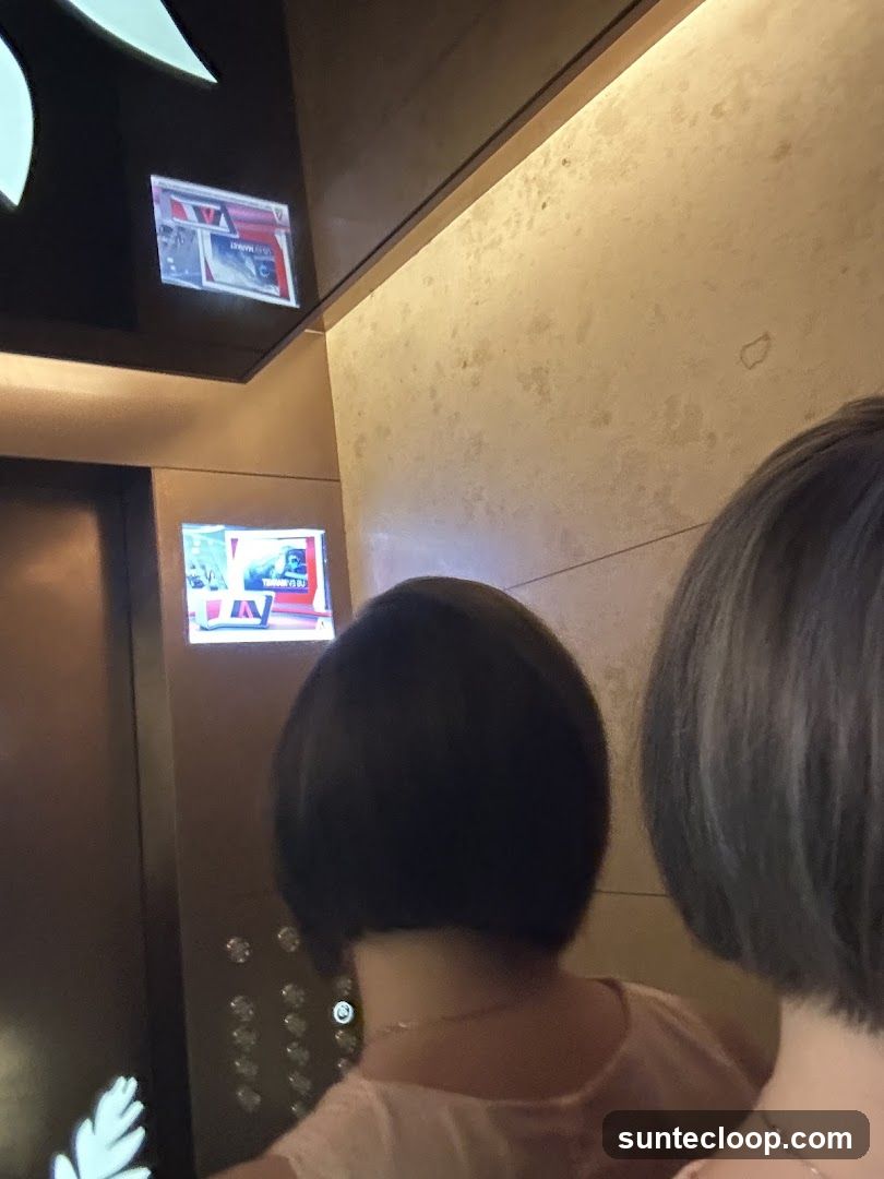 Elevator Interior with Screen