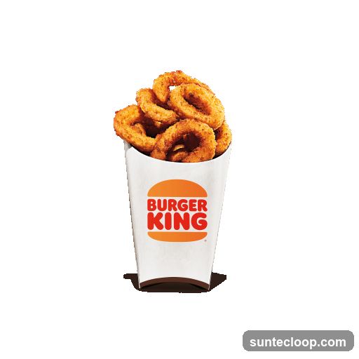 Burger King Onion Rings