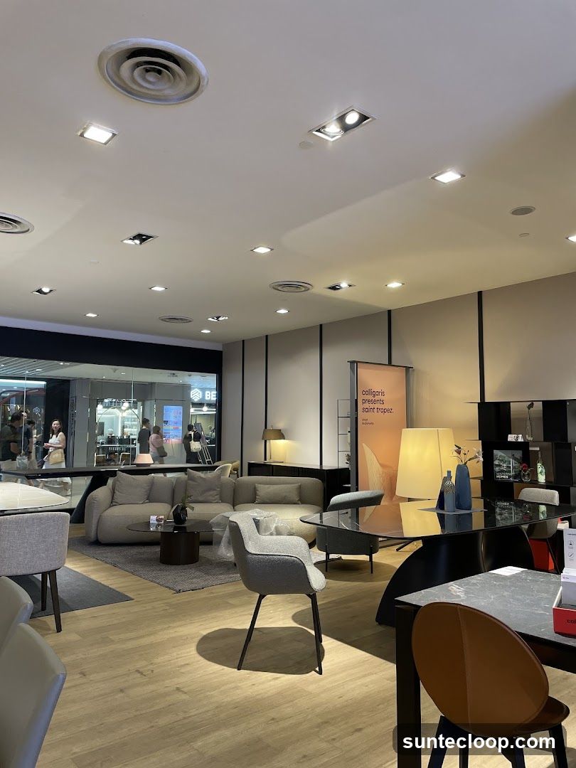 Furniture Showroom