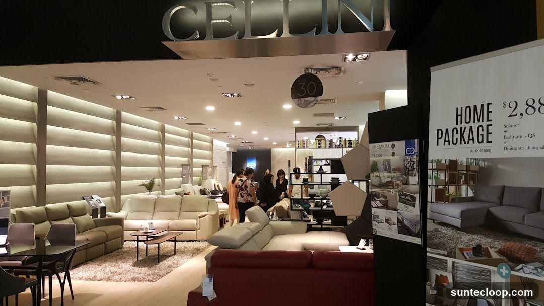 Furniture Store Interior