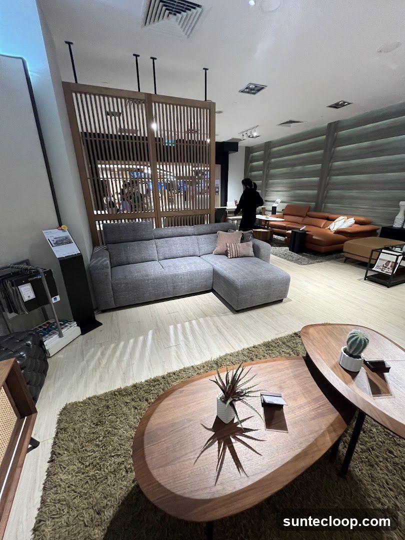 Furniture Showroom