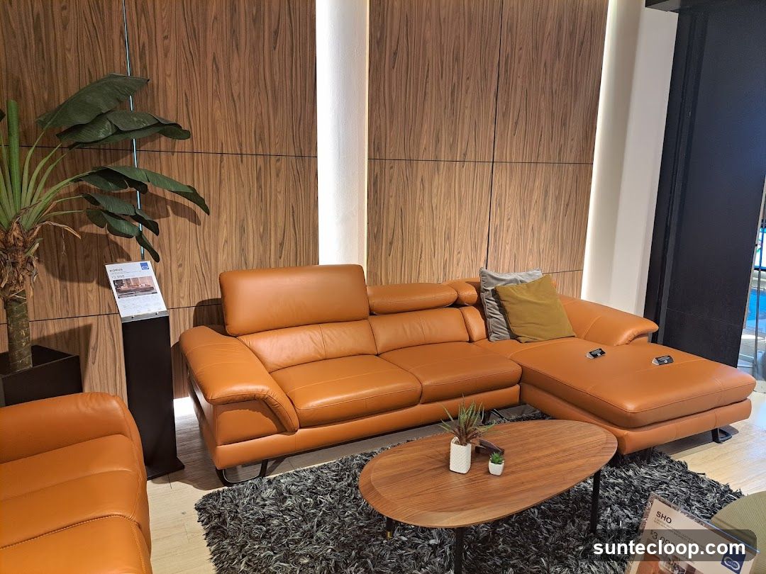 Modern Living Room Display