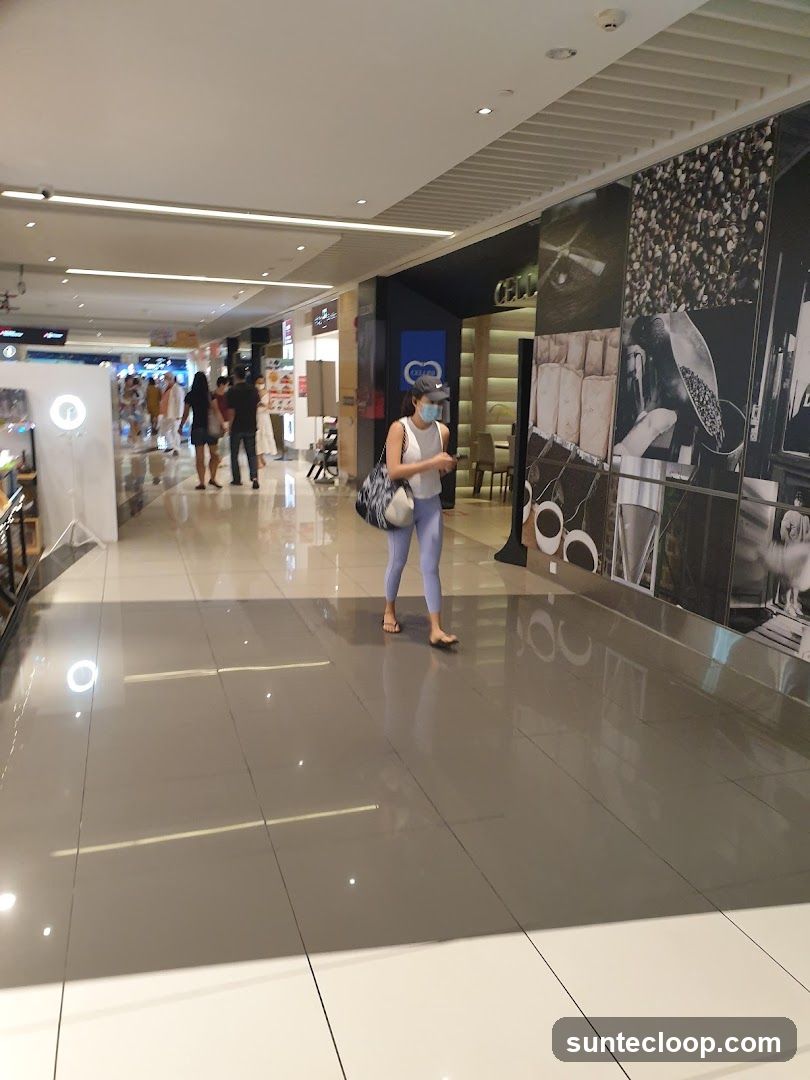 Mall Interior with Shoppers