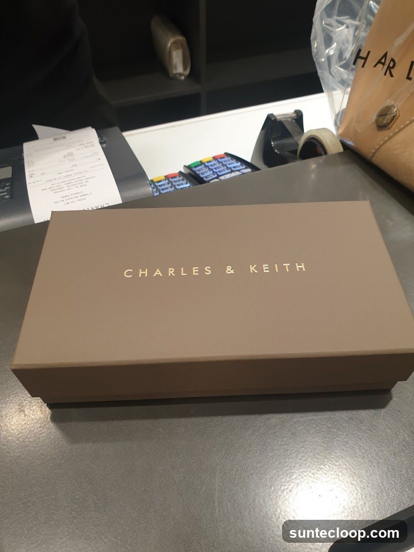 Charles & Keith Gift Box