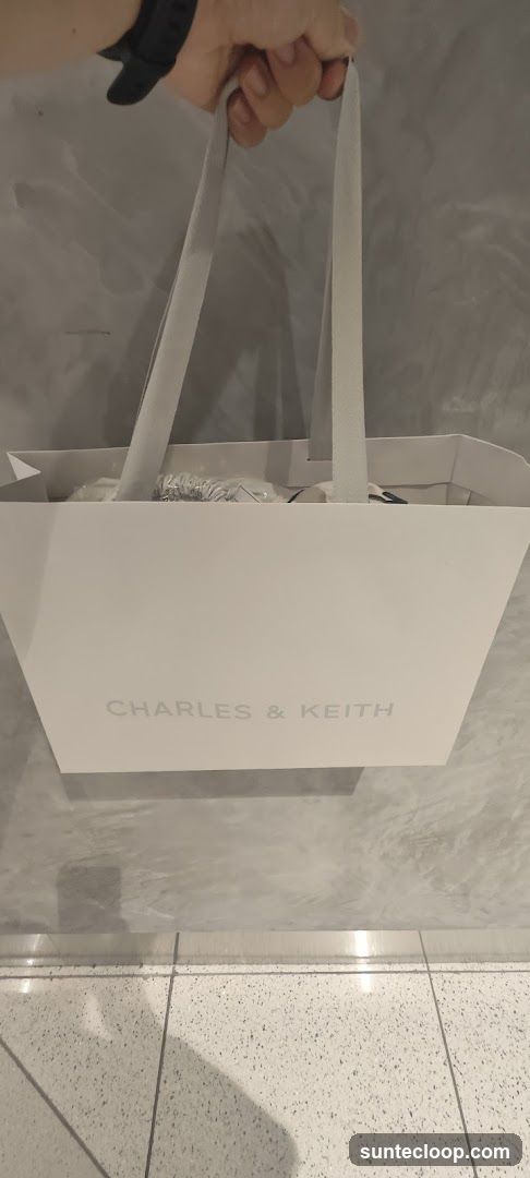 Charles & Keith Shopping Bag