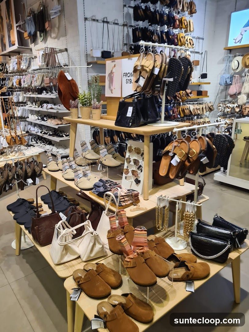 Footwear and Accessories Display
