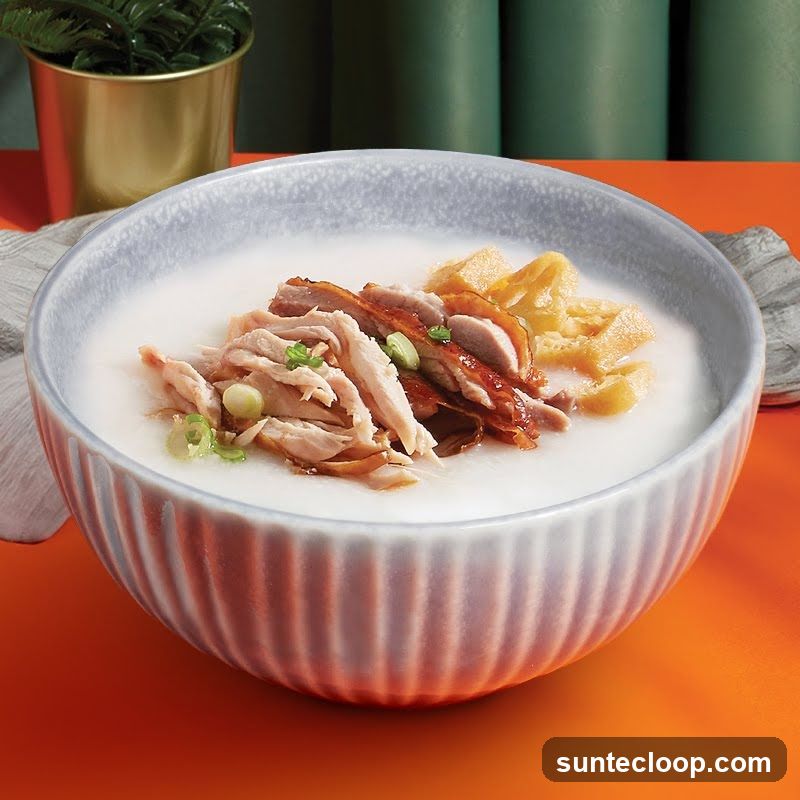 Congee with Shredded Chicken and Duck