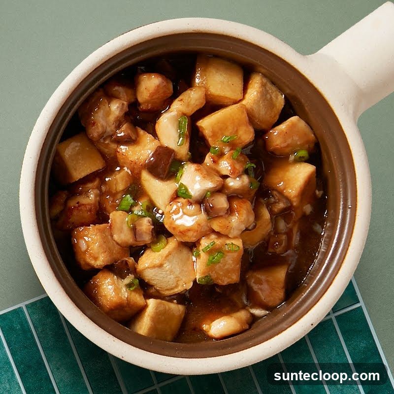 Clay Pot Dish