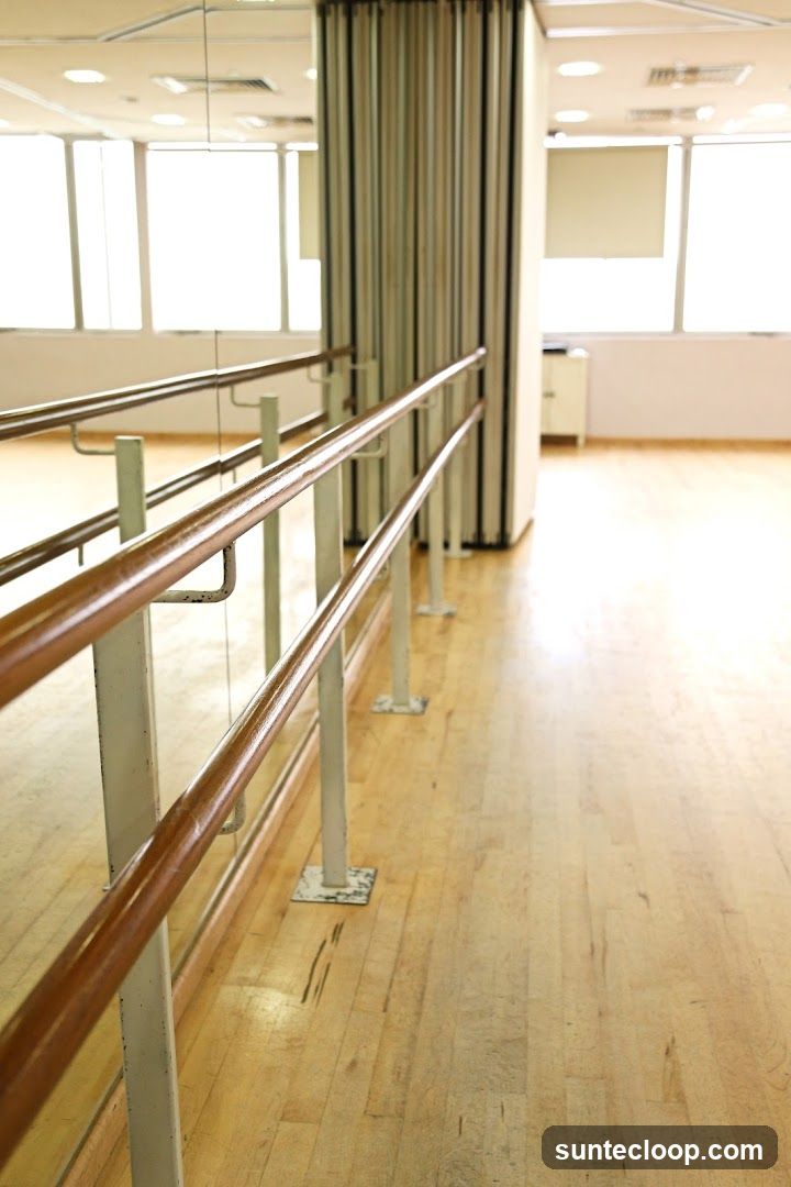 Dance Studio Barre