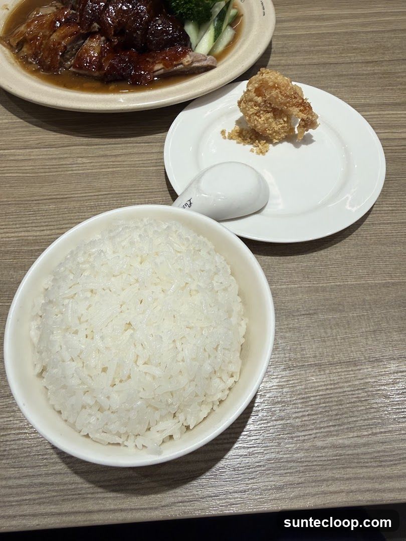 Roast Duck and Rice