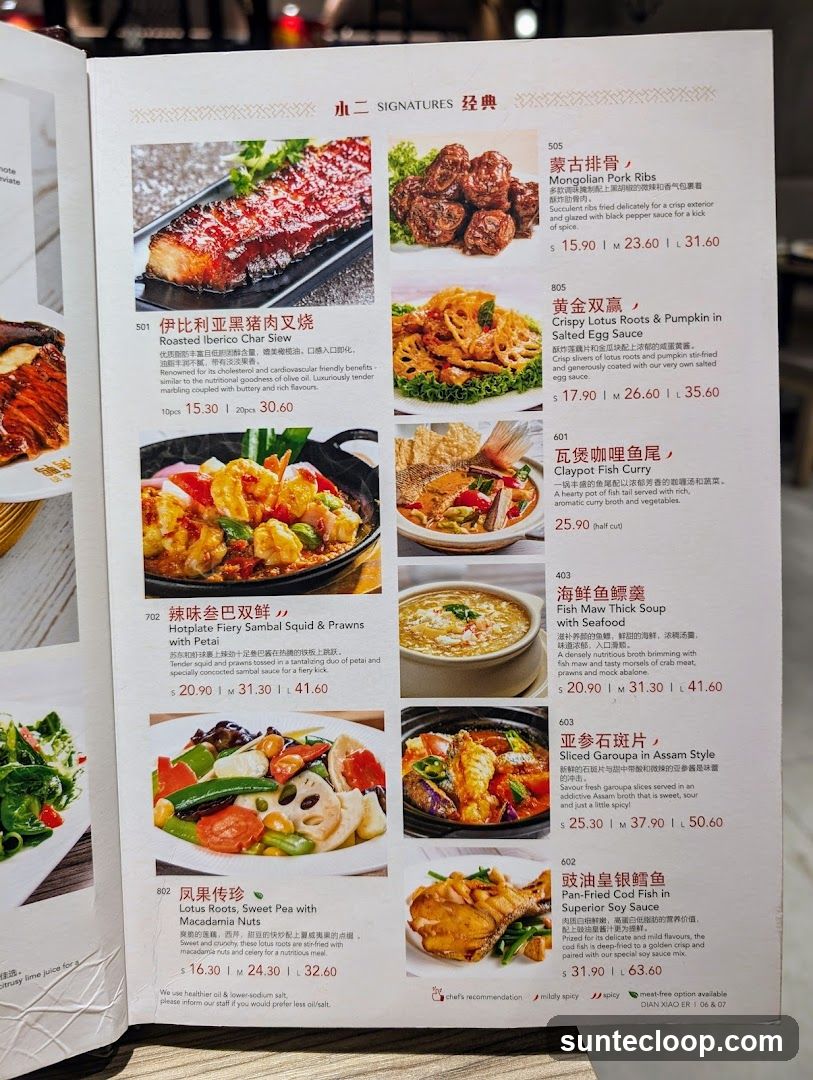 SIGNATURES 经典