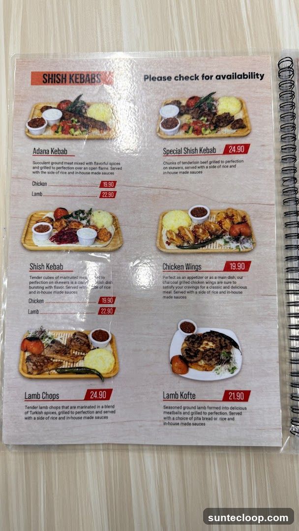 SHISH KEBABS