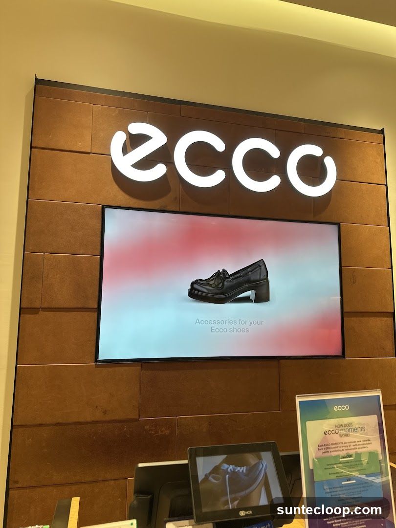 Ecco Shoe Store Display