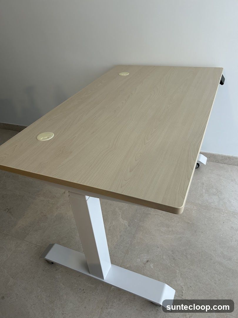 Adjustable Standing Desk