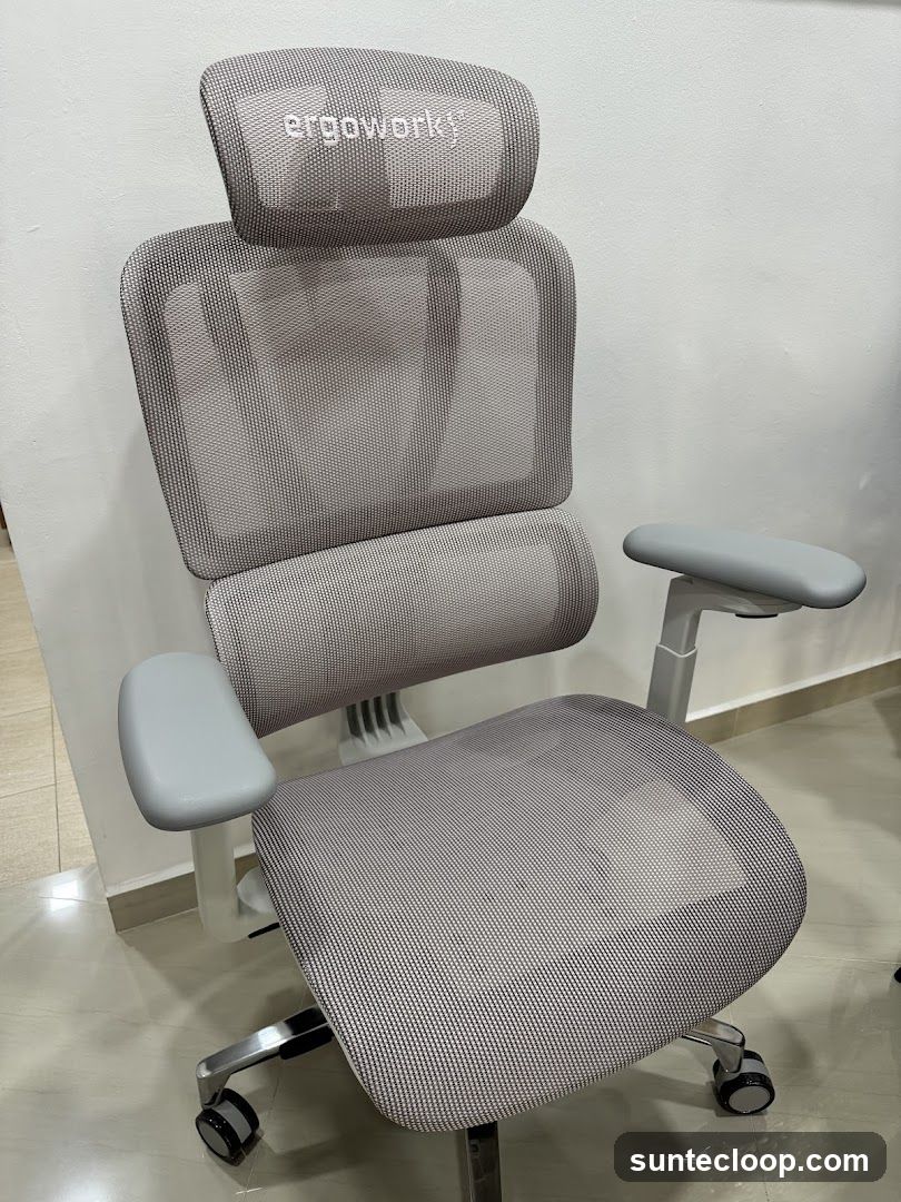 Ergonomic Office Chair