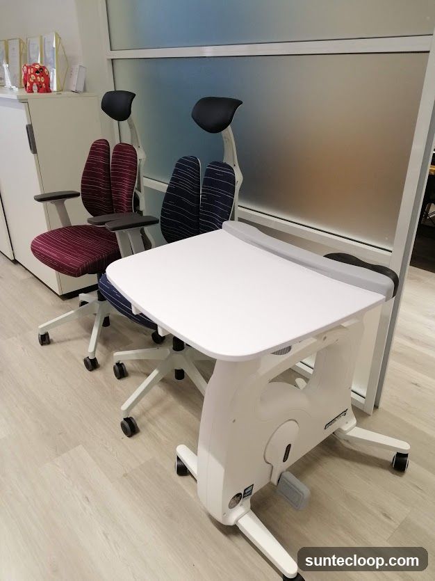 Ergonomic Chairs and Desk Bike