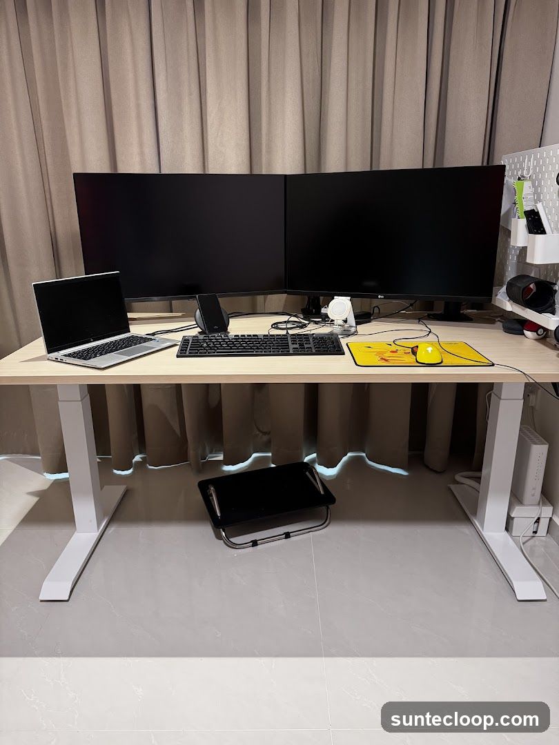 Dual Monitor Desk Setup