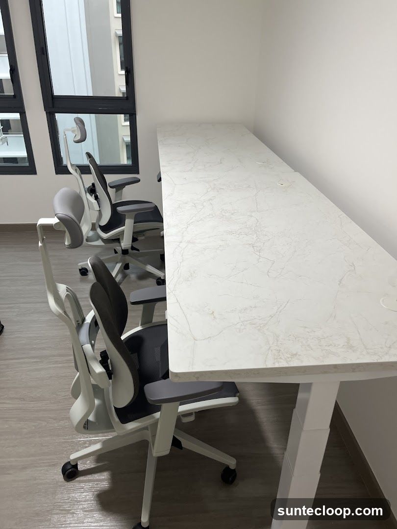 Office Desks and Chairs