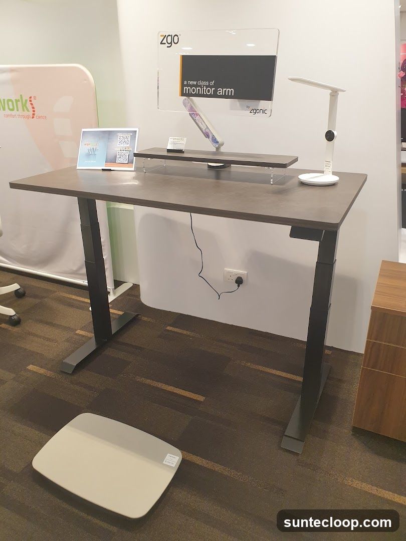 Ergonomic Desk Display
