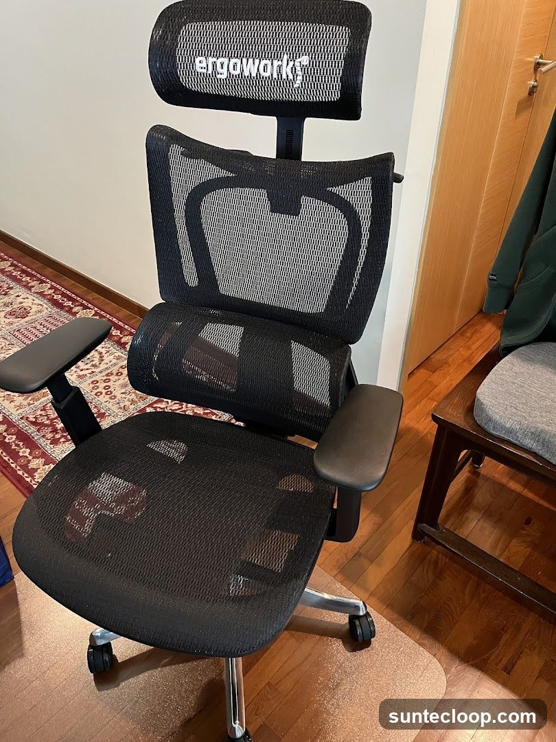 Ergonomic Office Chair