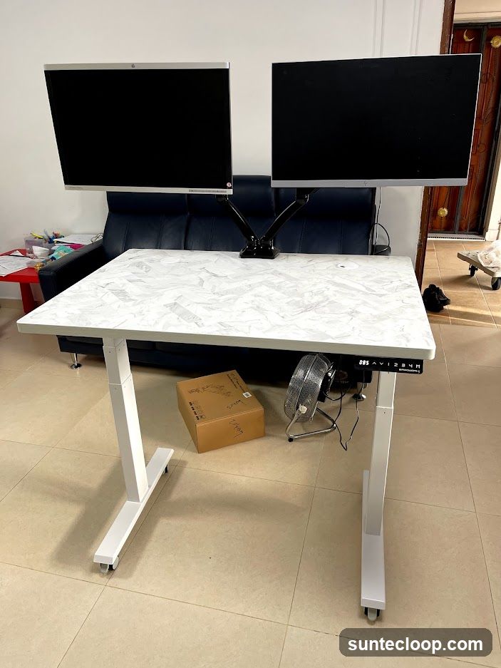 Adjustable Standing Desk with Dual Monitors