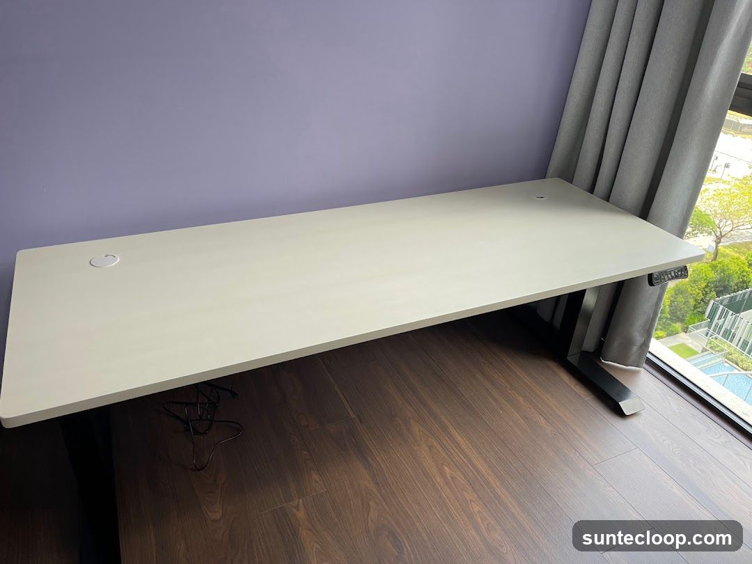 Adjustable Standing Desk