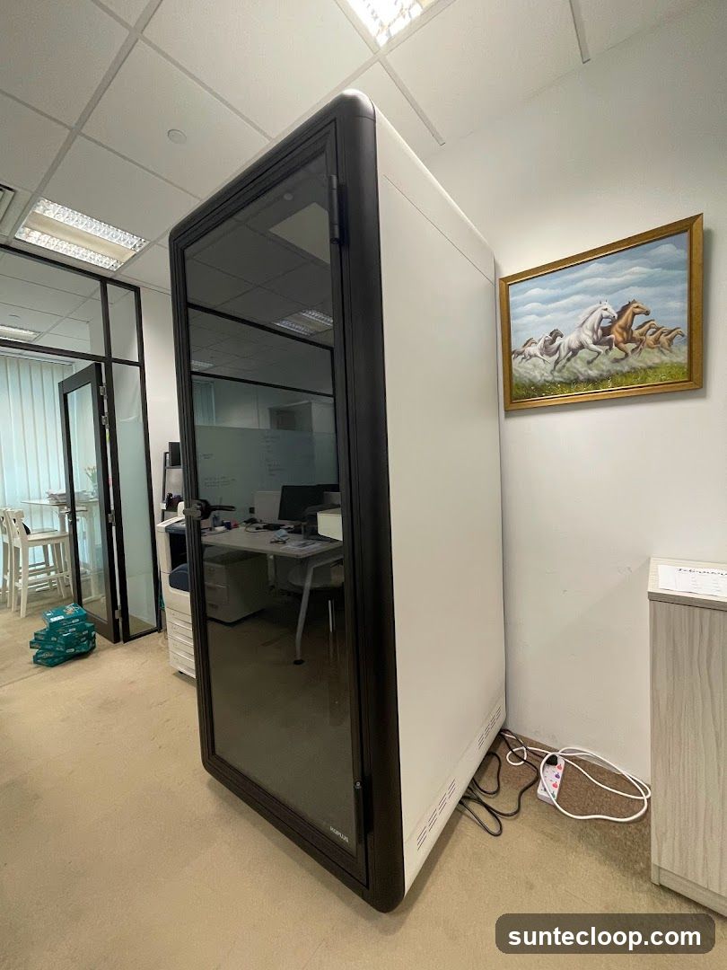 Office Pod and Artwork