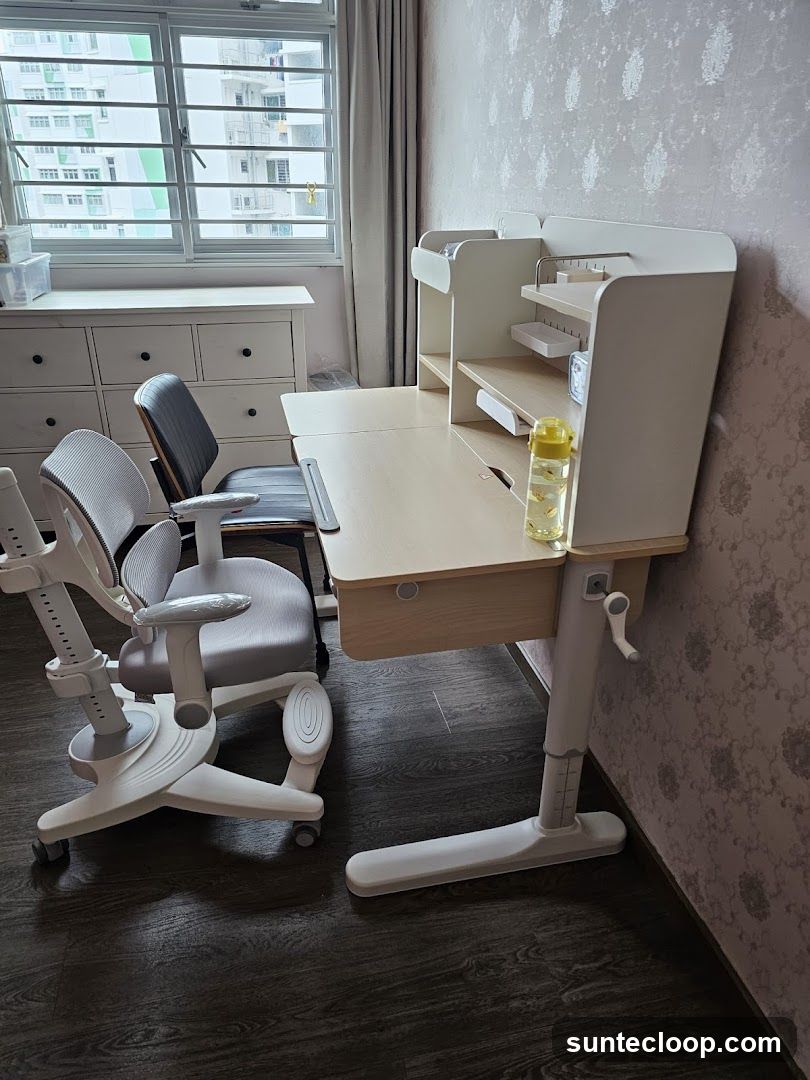 Adjustable Study Desk and Chairs