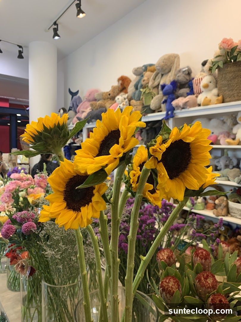 Sunflowers and Stuffed Animals