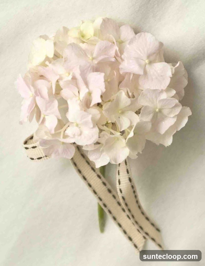 Hydrangea Boutonniere