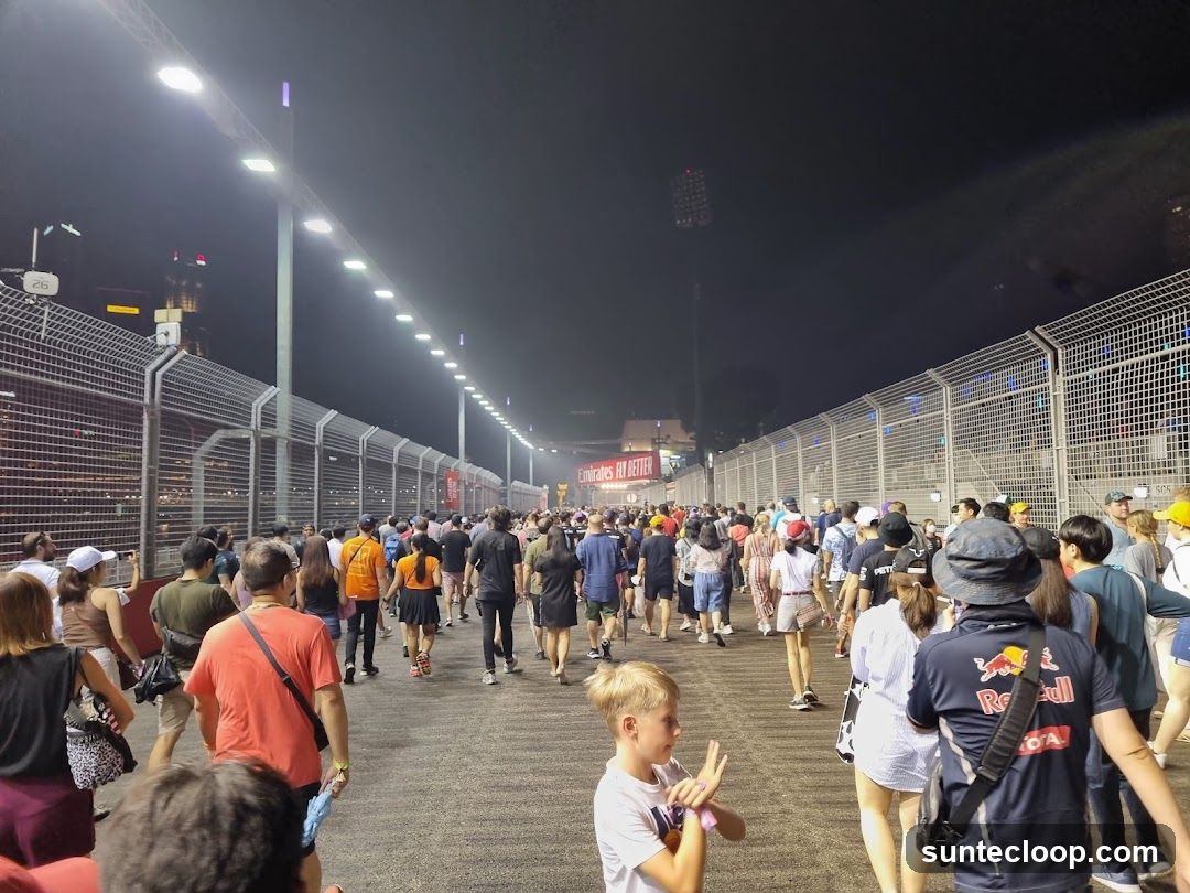 Crowd at a Night Event