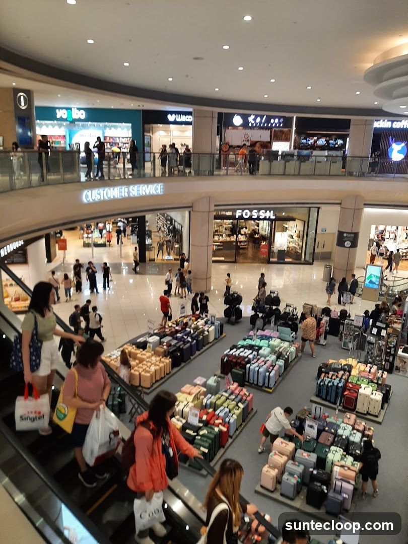 Mall Interior with Luggage Sale