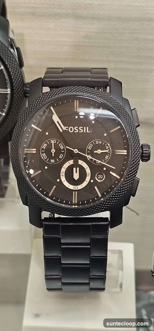 Fossil Watch