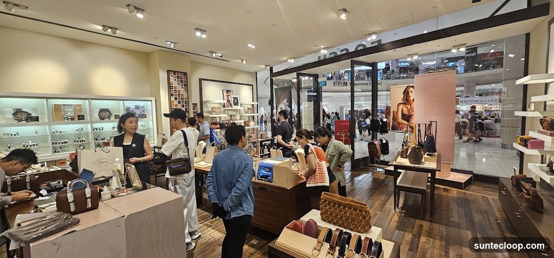 Fossil Store Interior