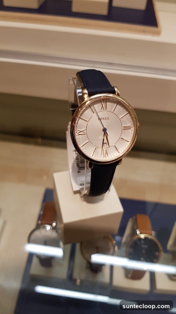 Fossil Watch Display