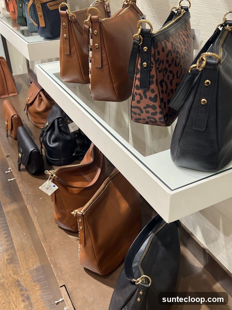 Handbags on Display