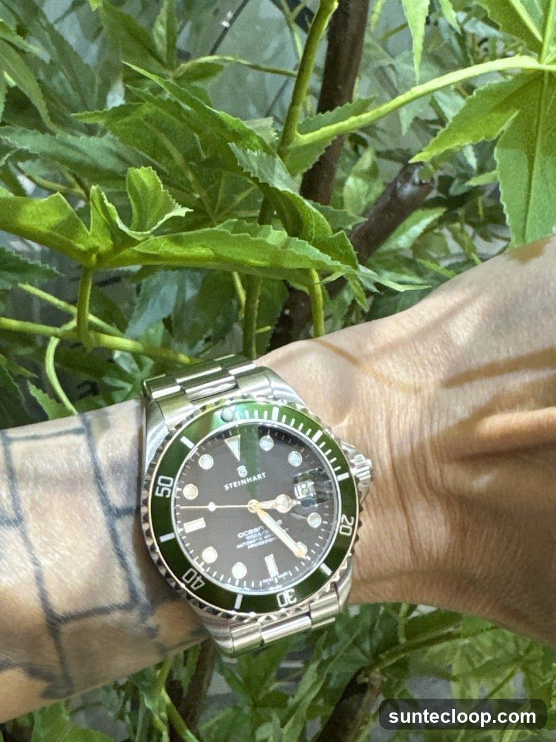 Steinhart Ocean One Watch