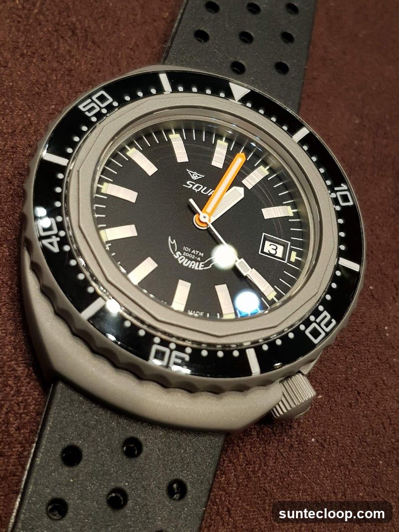 Dive Watch