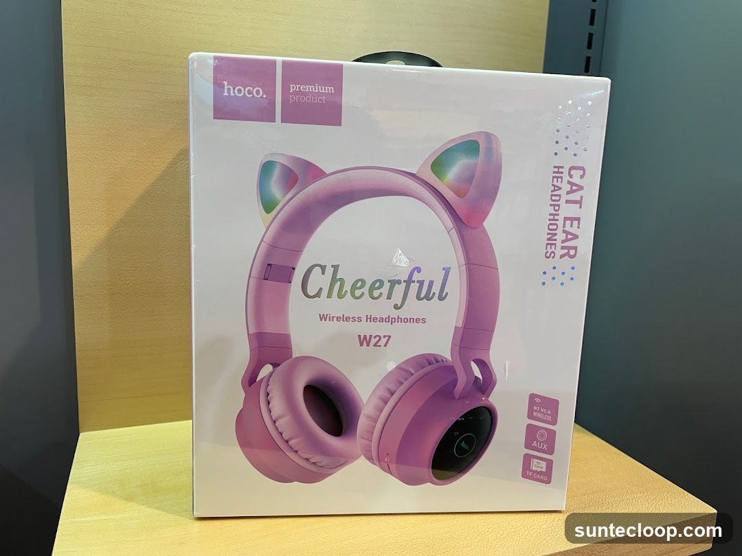 Cat Ear Headphones Box