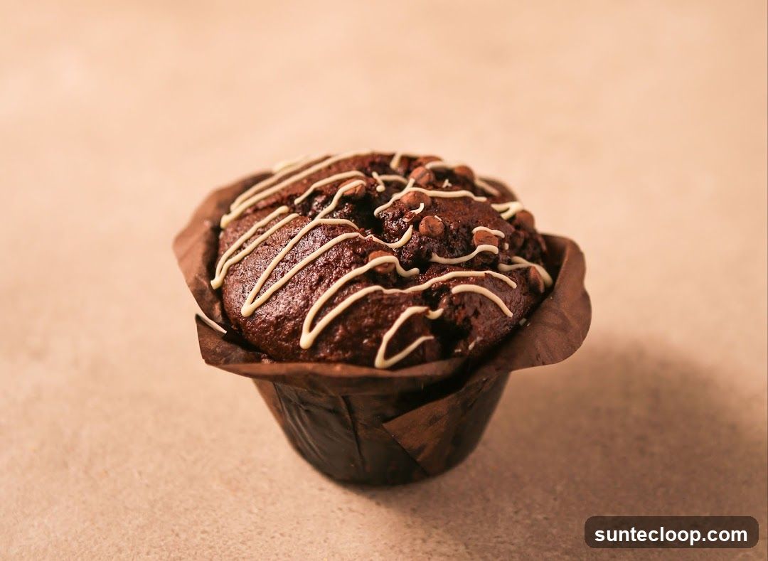 Chocolate Muffin