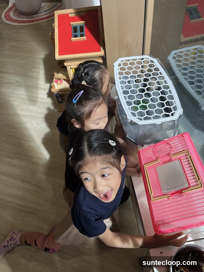 Children observing pets