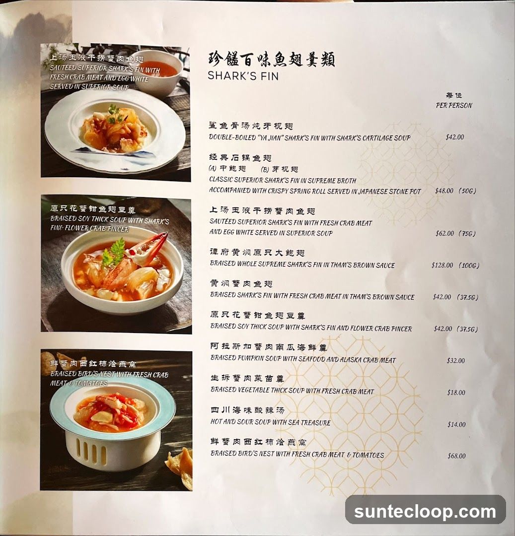 SHARK'S FIN