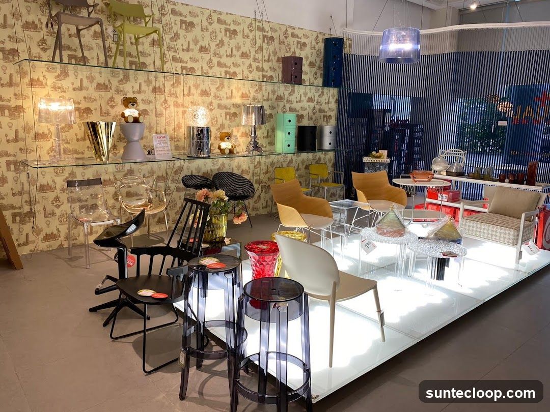 Modern Furniture Showroom